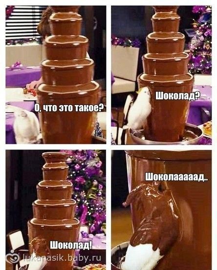 Всякие хвасталки)