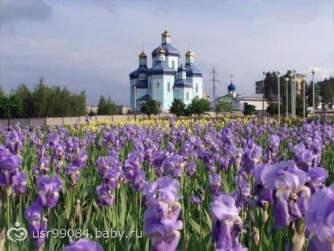 мой любимый город - Кривой Рог.