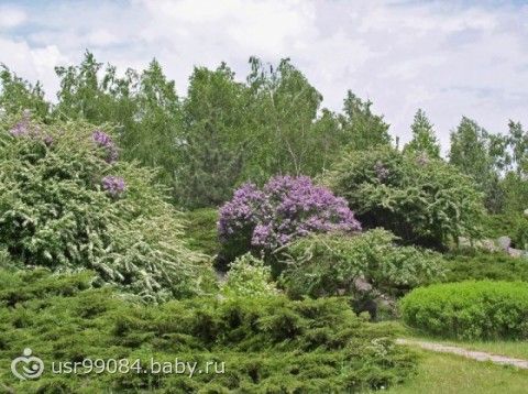 мой любимый город - Кривой Рог.