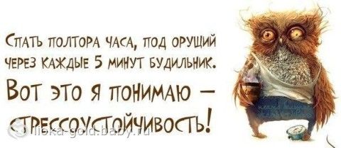 ура домой картинки онлайн ура домой картинки