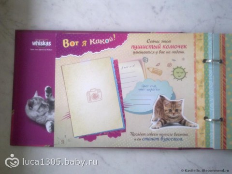 ОМСК,альбом про котенка,кому??