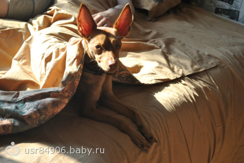 Не знаю что делать…