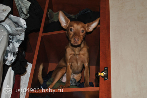 Не знаю что делать…