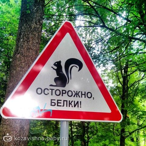 Дела и лунный календарь на