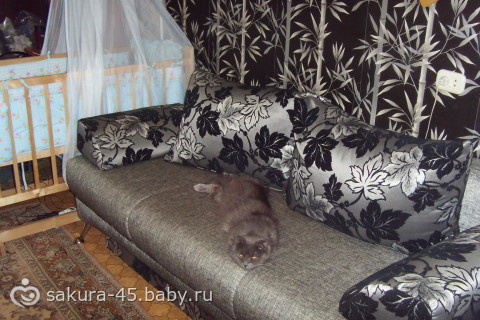 Приглашаю в гости!