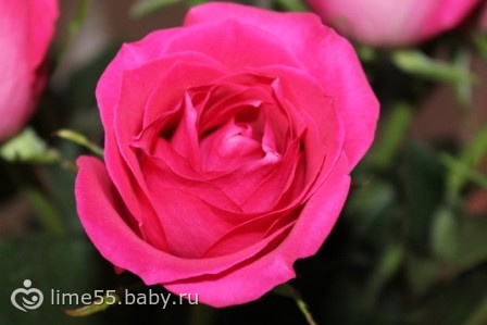 ФОТО-ПОСТ моего 8 Марта