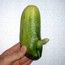 МаруськаАкакаевиччч МаруськаАкакаевиччч