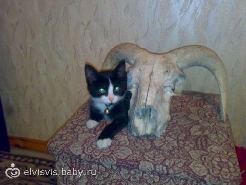 она может вернуться!