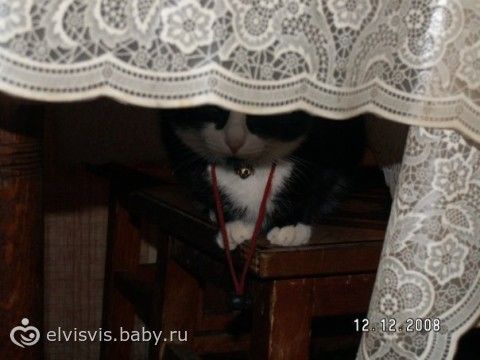 она может вернуться!