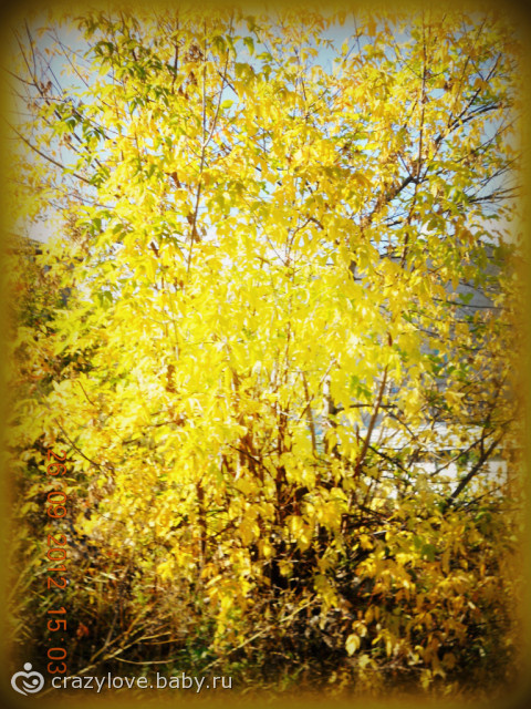 Фотопроект 365, день 3-ий. 26.09.2012 «Классная погодка»
